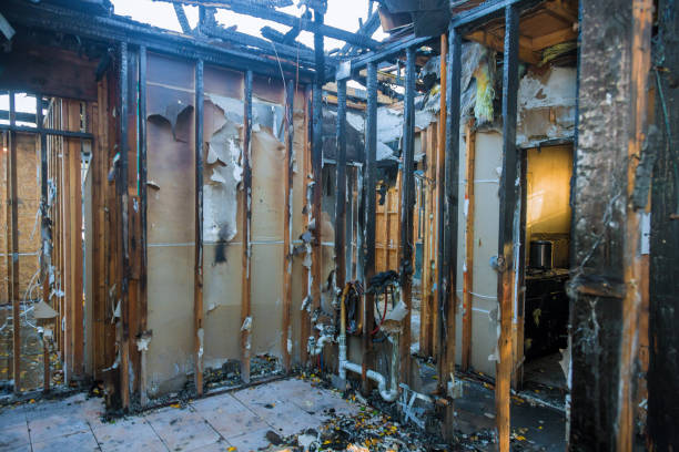 Professional Fire Damage Removal technician working in Demorest, GA